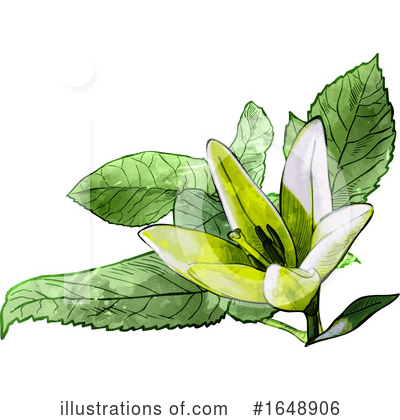 Royalty-Free (RF) Flower Clipart Illustration by dero - Stock Sample #1648906