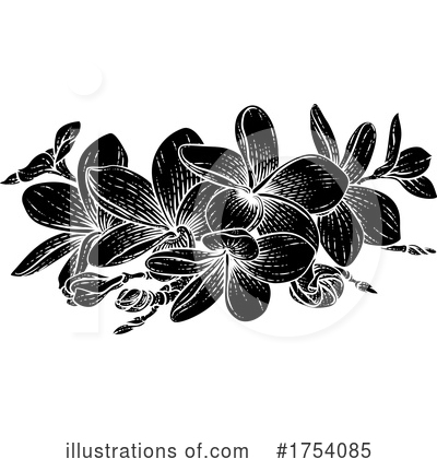 Plumeria Clipart #1754085 by AtStockIllustration
