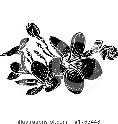 Plumeria Clipart #1763448 by AtStockIllustration