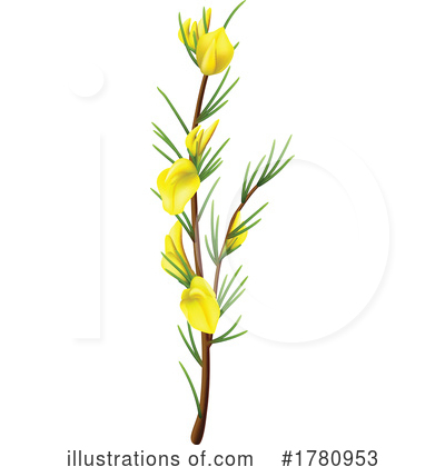 Royalty-Free (RF) Flower Clipart Illustration by Vector Tradition SM - Stock Sample #1780953