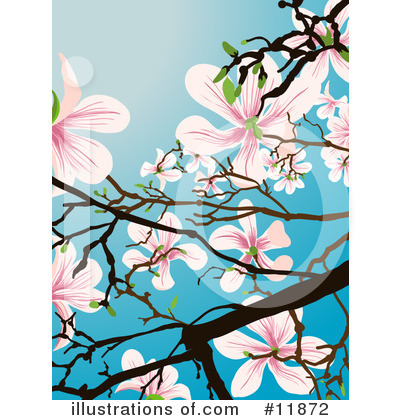 Magnolia Clipart #11872 by AtStockIllustration