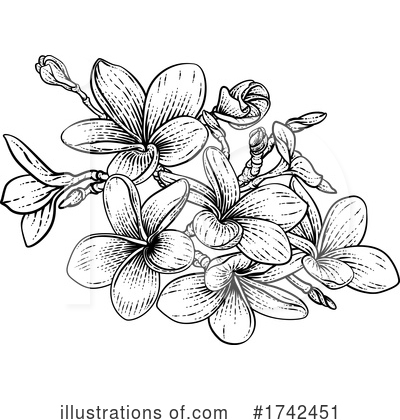 Plumeria Clipart #1742451 by AtStockIllustration