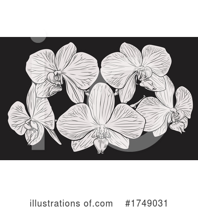 Orchid Clipart #1749031 by AtStockIllustration