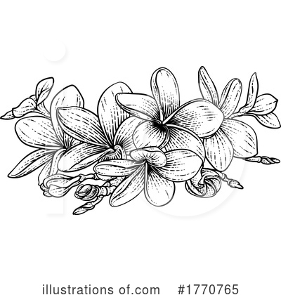 Plumeria Clipart #1770765 by AtStockIllustration