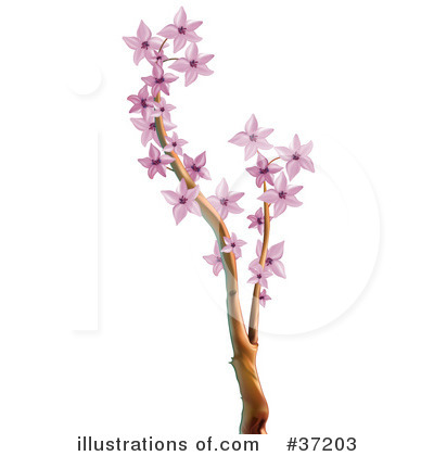 Royalty-Free (RF) Flowers Clipart Illustration by dero - Stock Sample #37203