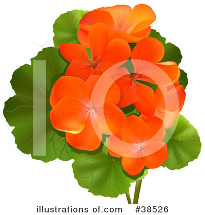 Royalty-Free (RF) Flowers Clipart Illustration by dero - Stock Sample #38526