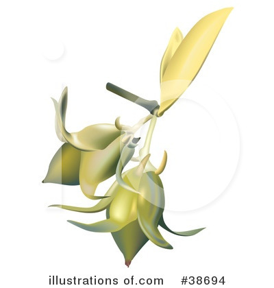 Royalty-Free (RF) Flowers Clipart Illustration by dero - Stock Sample #38694