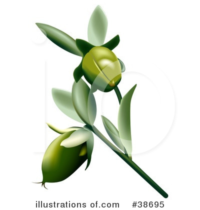 Royalty-Free (RF) Flowers Clipart Illustration by dero - Stock Sample #38695