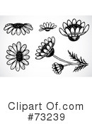 Flowers Clipart #73239 by BestVector