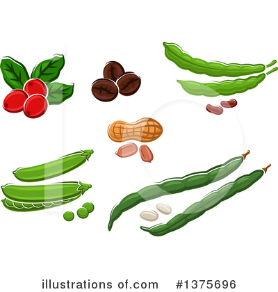 Coffee Berry Clipart #1375696 by Vector Tradition SM