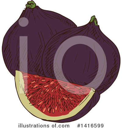 Fig Clipart #1416599 by Vector Tradition SM