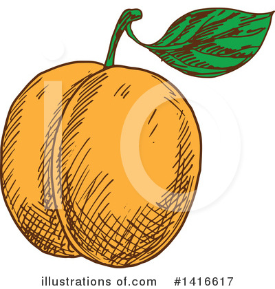 Nectarine Clipart #1416617 by Vector Tradition SM