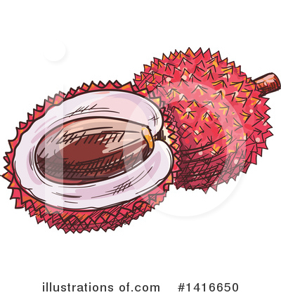 Lychee Clipart #1416650 by Vector Tradition SM