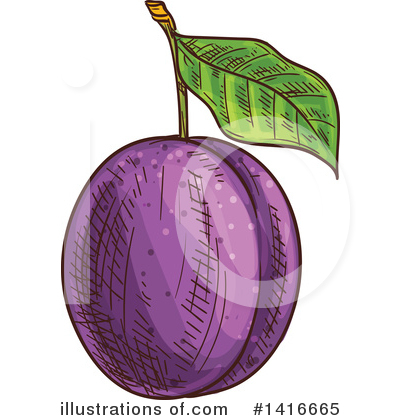 Plum Clipart #1416665 by Vector Tradition SM