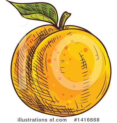 Nectarine Clipart #1416668 by Vector Tradition SM