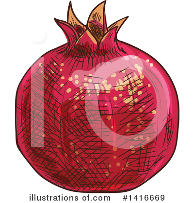 Pomegranate Clipart #1416669 by Vector Tradition SM