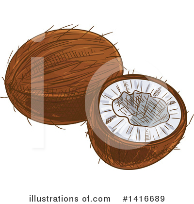 Coconut Clipart #1416689 by Vector Tradition SM