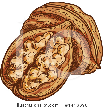 Walnut Clipart #1416690 by Vector Tradition SM