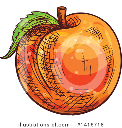 Apricot Clipart #1416718 by Vector Tradition SM