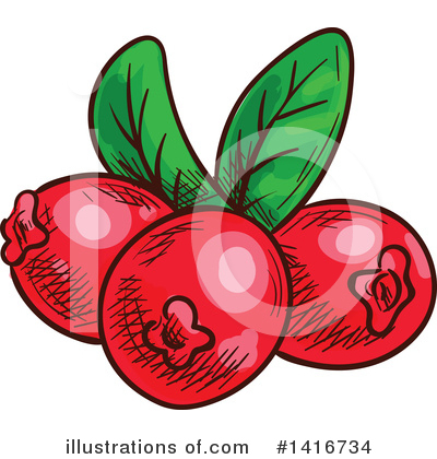 Coffee Berry Clipart #1416734 by Vector Tradition SM