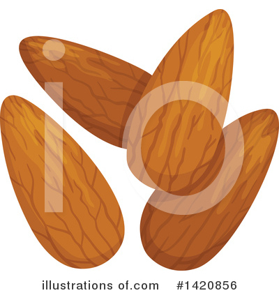 Almond Clipart #1420856 by Vector Tradition SM