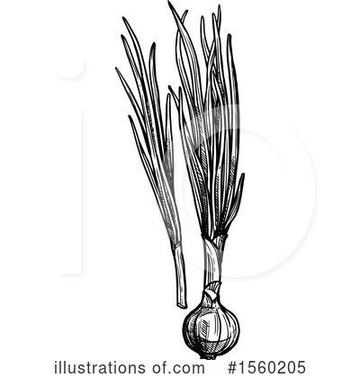 Green Onions Clipart #1560205 by Vector Tradition SM