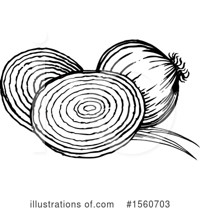 Onion Clipart #1560703 by Lal Perera