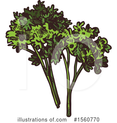 Parsley Clipart #1560770 by Vector Tradition SM