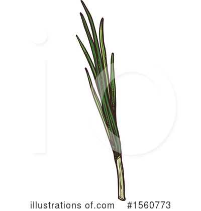 Green Onions Clipart #1560773 by Vector Tradition SM