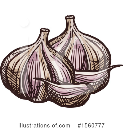 Garlic Clipart #1560777 by Vector Tradition SM