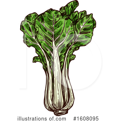 Cabbage Clipart #1608095 by Vector Tradition SM