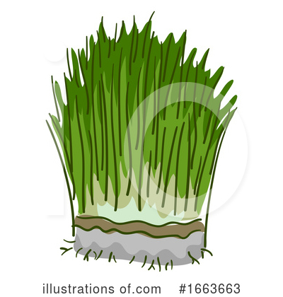 Wheatgrass Clipart #1663663 by BNP Design Studio