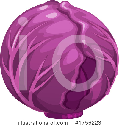 Cabbage Clipart #1756223 by Vector Tradition SM