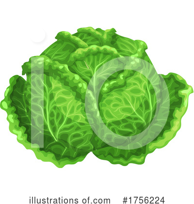 Cabbage Clipart #1756224 by Vector Tradition SM
