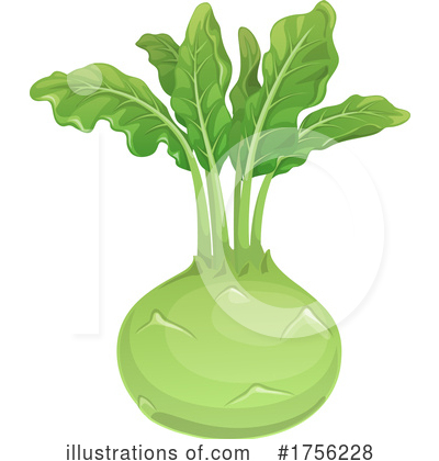 Kohlrabi Clipart #1756228 by Vector Tradition SM