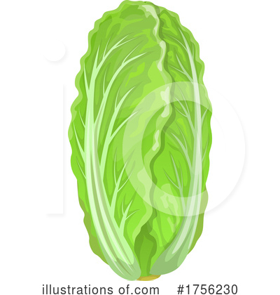 Cabbage Clipart #1756230 by Vector Tradition SM