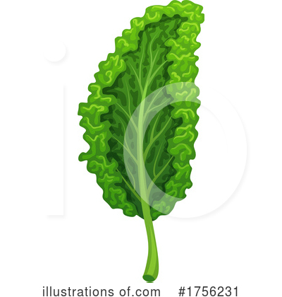 Kale Clipart #1756231 by Vector Tradition SM