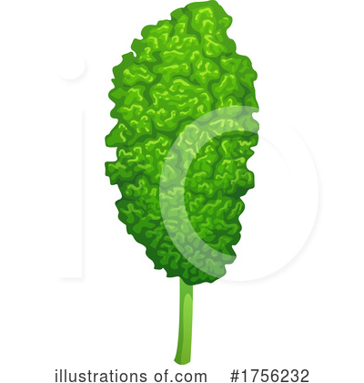 Kale Clipart #1756232 by Vector Tradition SM