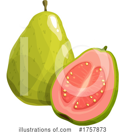 Guava Clipart #1757873 by Vector Tradition SM