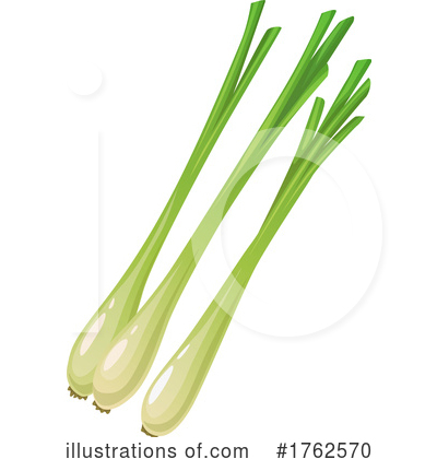 Green Onions Clipart #1762570 by Vector Tradition SM