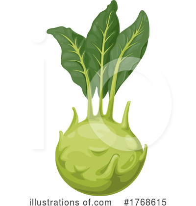 Kohlrabi Clipart #1768615 by Vector Tradition SM
