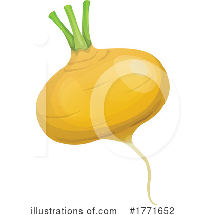 Turnip Clipart #1771652 by Vector Tradition SM