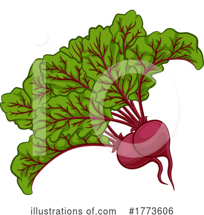 Beets Clipart #1773606 by AtStockIllustration