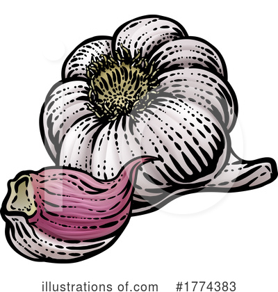 Garlic Clipart #1774383 by AtStockIllustration
