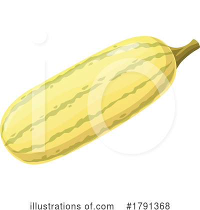 Zucchini Clipart #1791368 by Vector Tradition SM