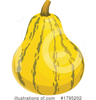 Squash Clipart #1795202 by Vector Tradition SM