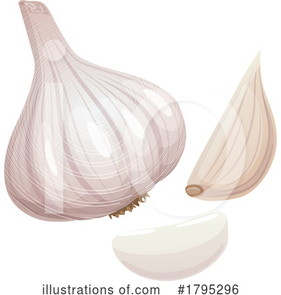 Garlic Clipart #1795296 by Vector Tradition SM