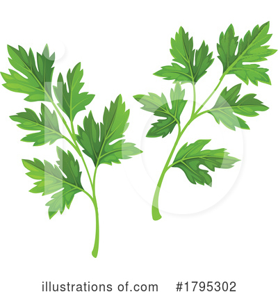 Parsley Clipart #1795302 by Vector Tradition SM