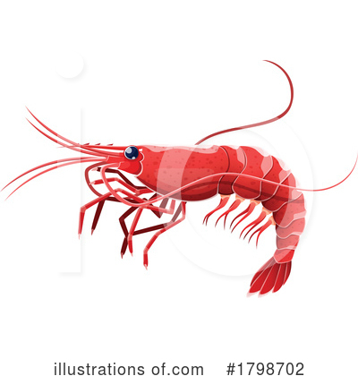 Shrimp Clipart #1798702 by Vector Tradition SM