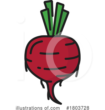 Beets Clipart #1803728 by Vector Tradition SM